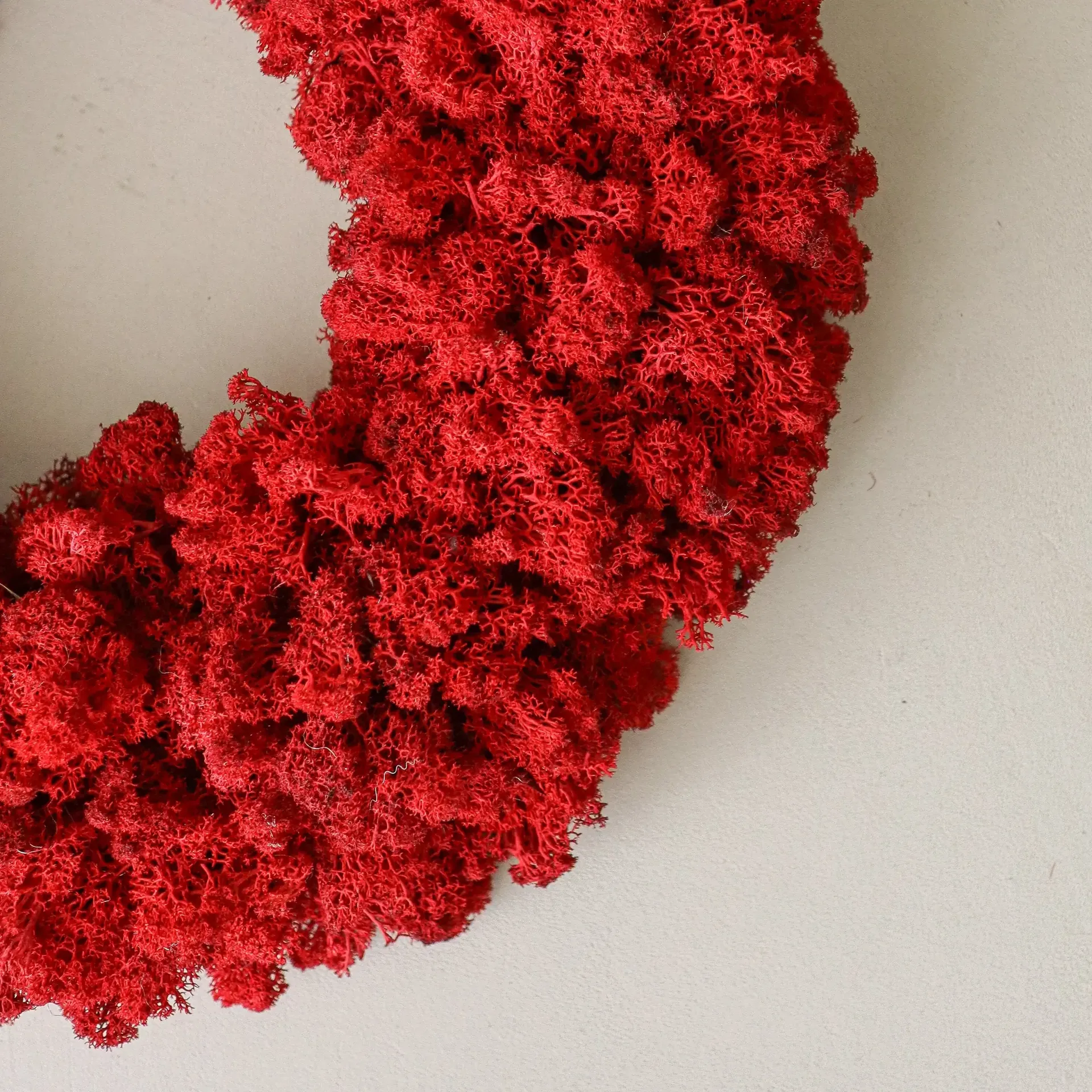 Couronne de mousse Moss Wreath, Red, Ø40 cm Botané