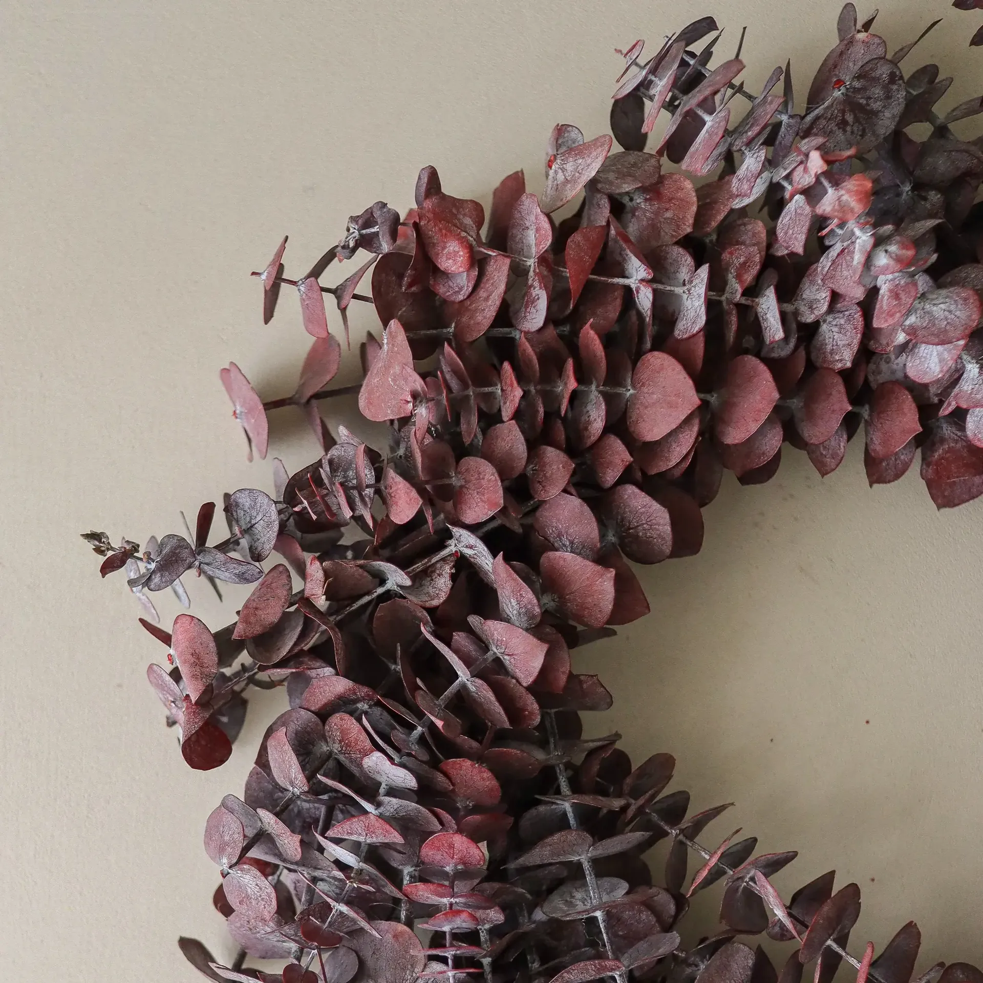 Couronne Eucalyptus Wreath, Dark red, Ø40 cm Botané