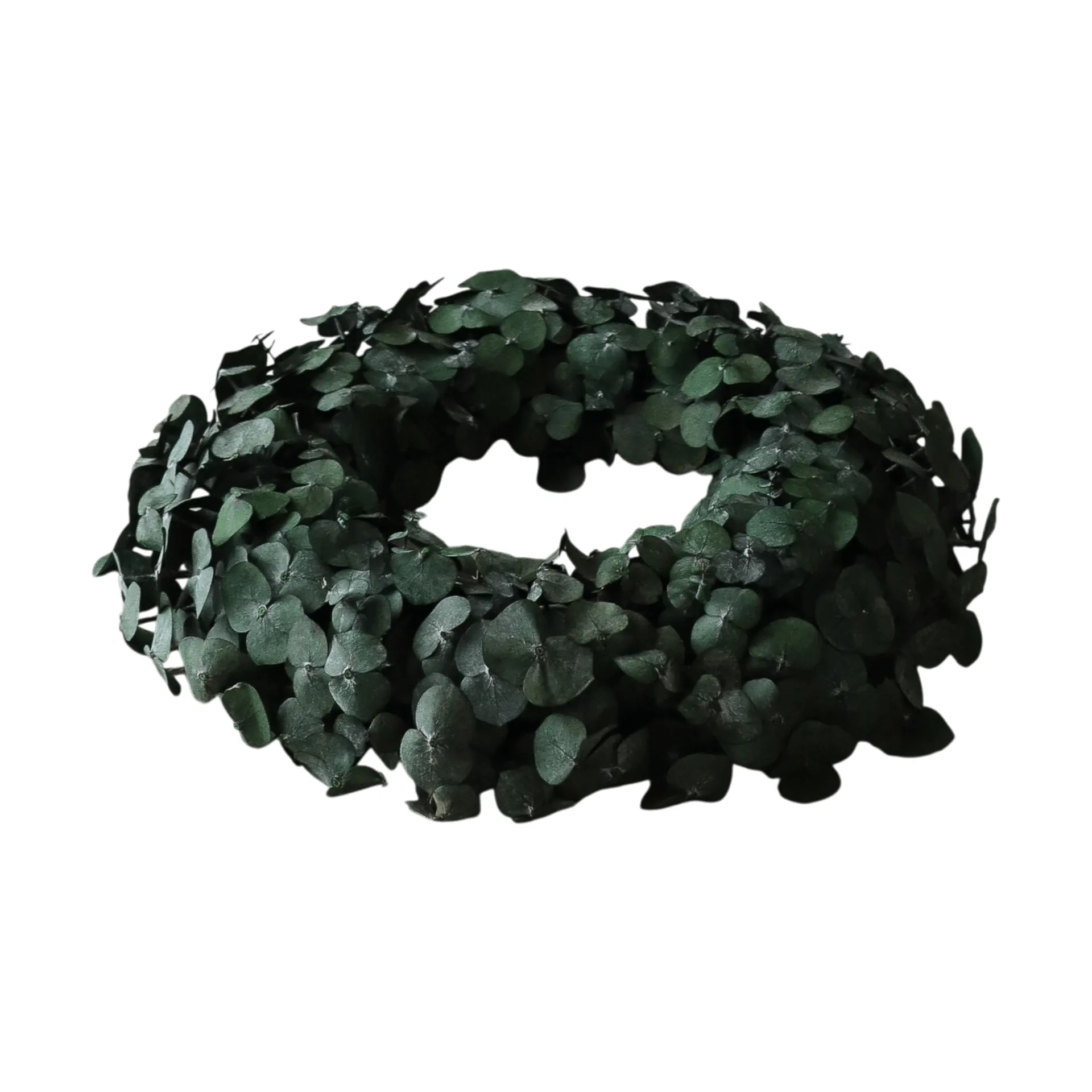 Couronne Eucalyptus Wreath, Green, Ø40 cm Botané