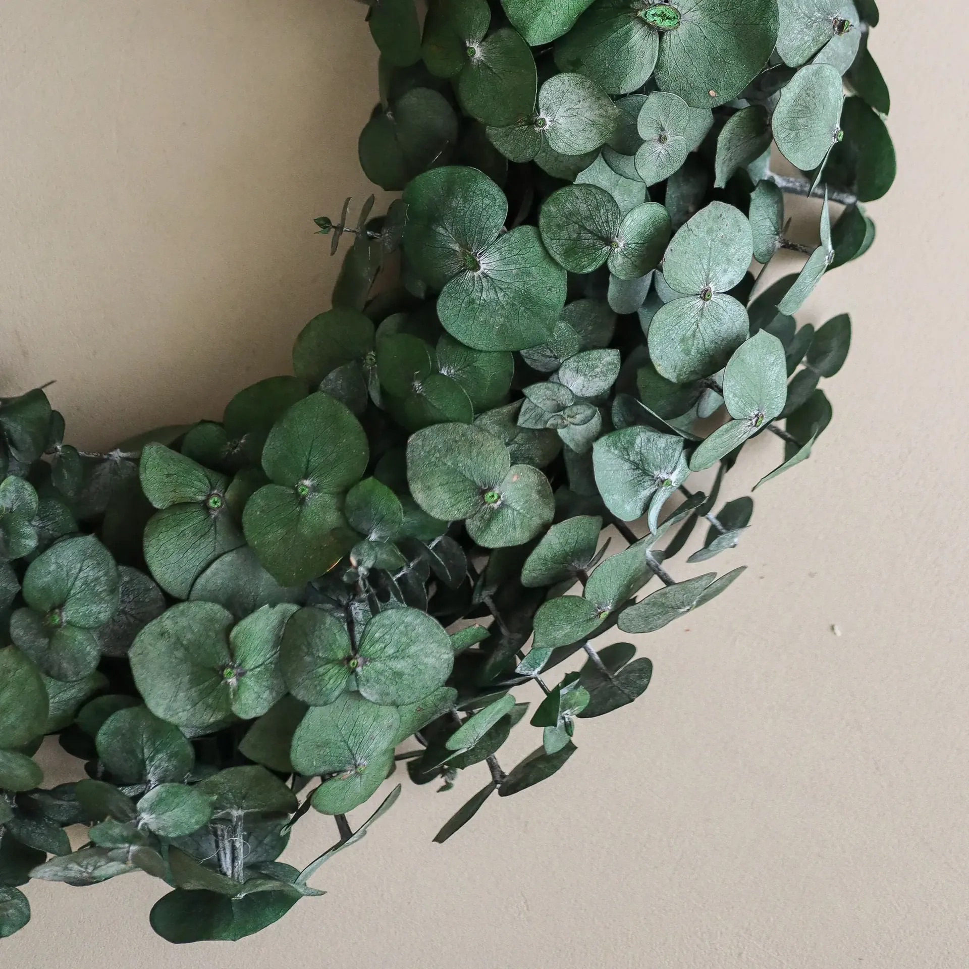 Couronne Eucalyptus Wreath, Green, Ø40 cm Botané