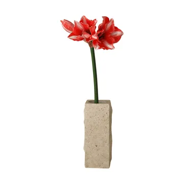 Fleur artificielle Amaryllis - Rouge foncé, 72 cm - Botané