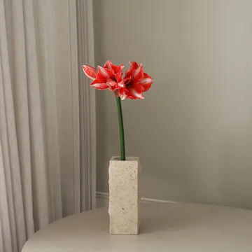 Fleur artificielle Amaryllis - Rouge foncé, 72 cm - Botané