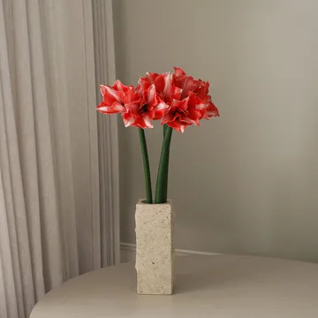 Fleur artificielle Amaryllis - Rouge foncé, 72 cm - Botané