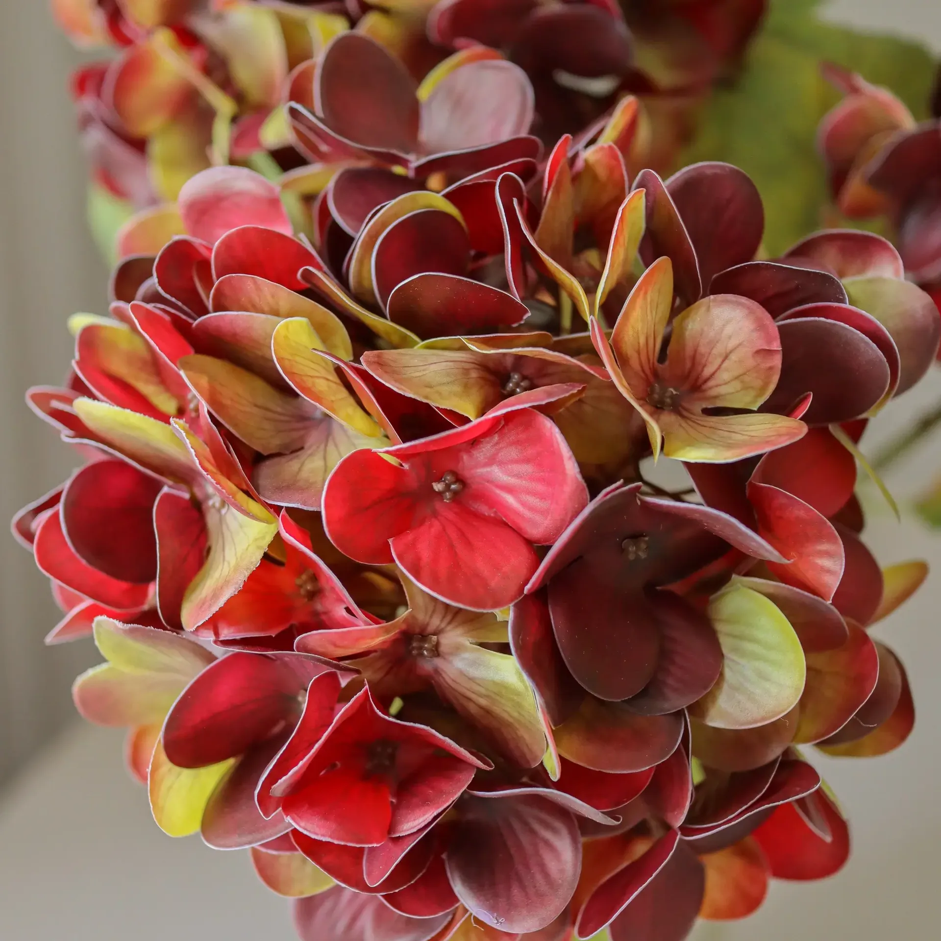 Fleur artificielle Hortensia, Deep burgundy, 60 cm, 1 pièce Botané