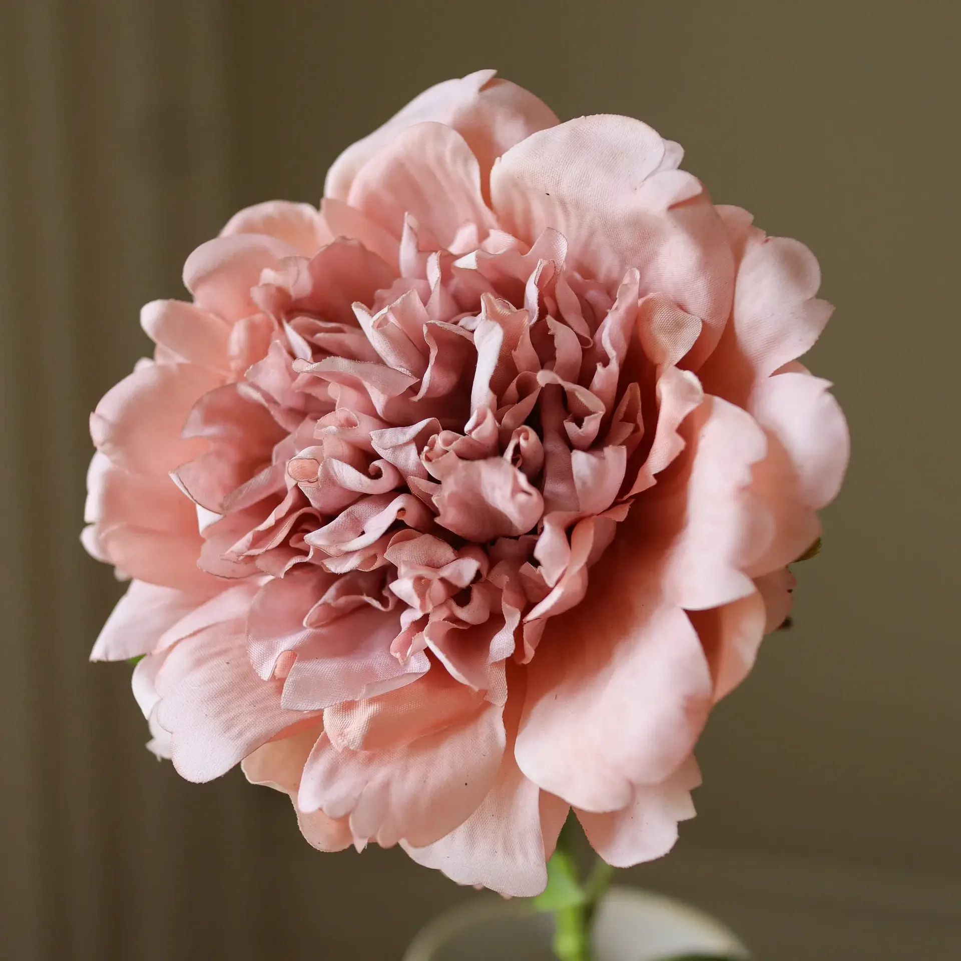 Fleur artificielle pivoine, Dusty pink, 56 cm, 1 pièce Botané