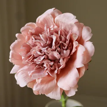Fleur artificielle pivoine - Dusty pink, 56 cm, 1 pièce - Botané