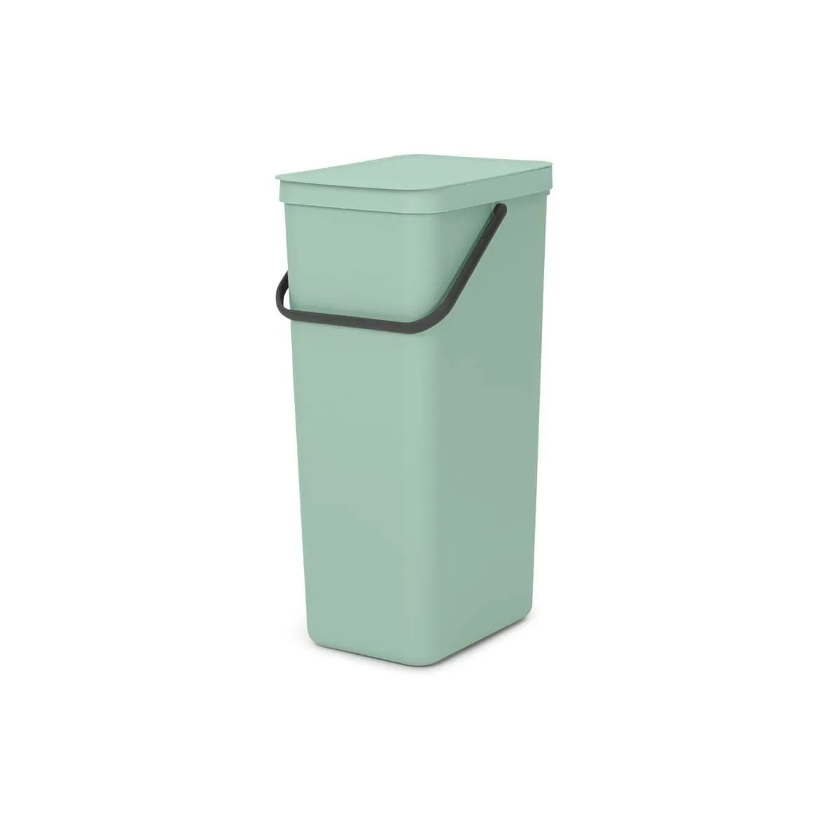 Poubelle de tri Sort & Go 40 L Brabantia