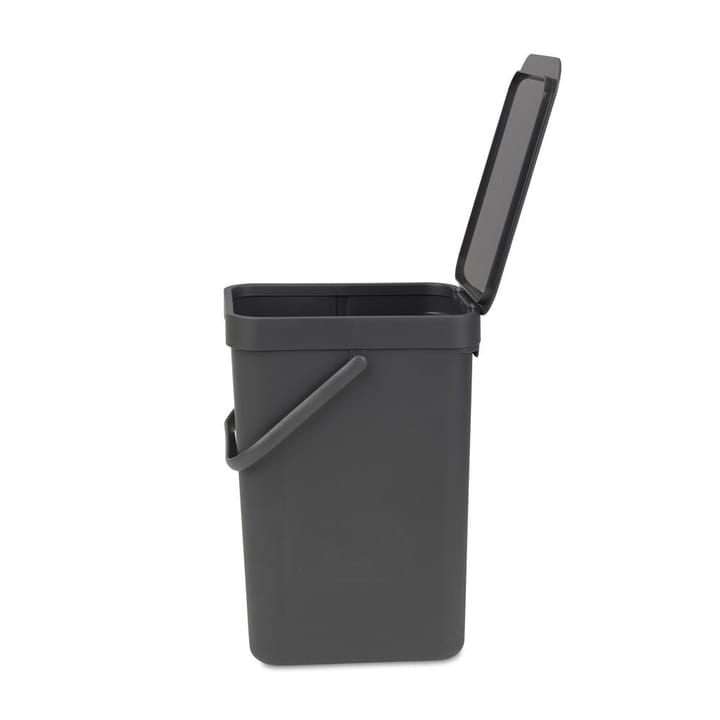 Poubelle Sort & Go 12 litres, gris Brabantia