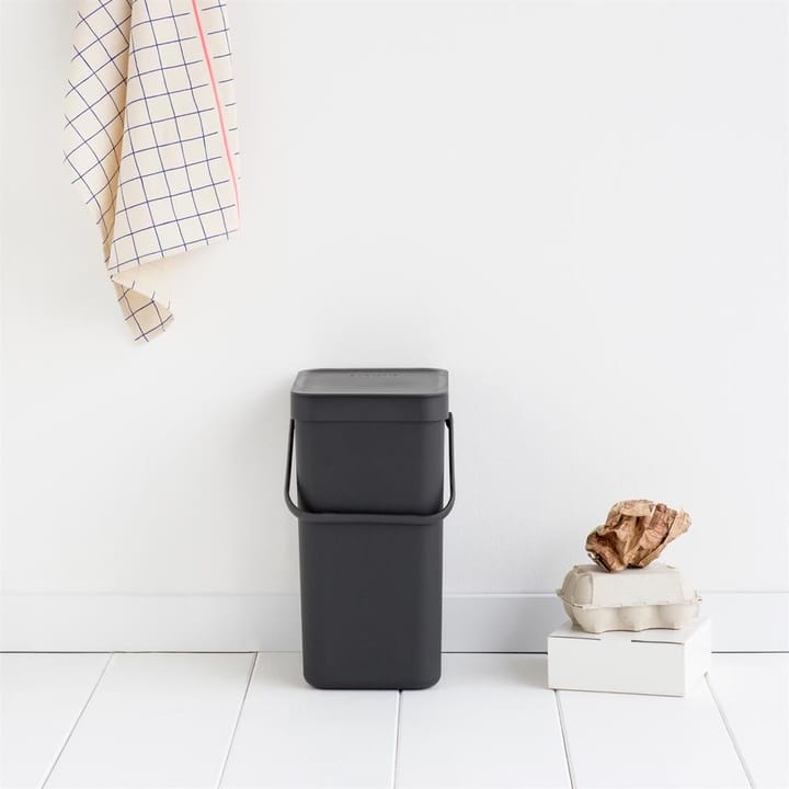 Poubelle Sort & Go 12 litres, gris Brabantia