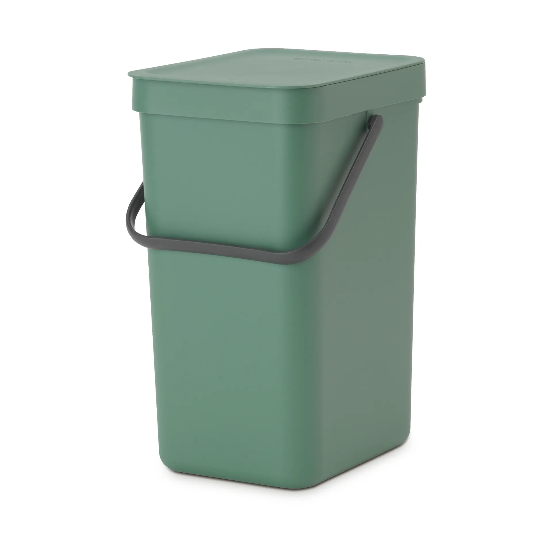 Poubelle tri Select & Go 12 L, Fir Green Brabantia