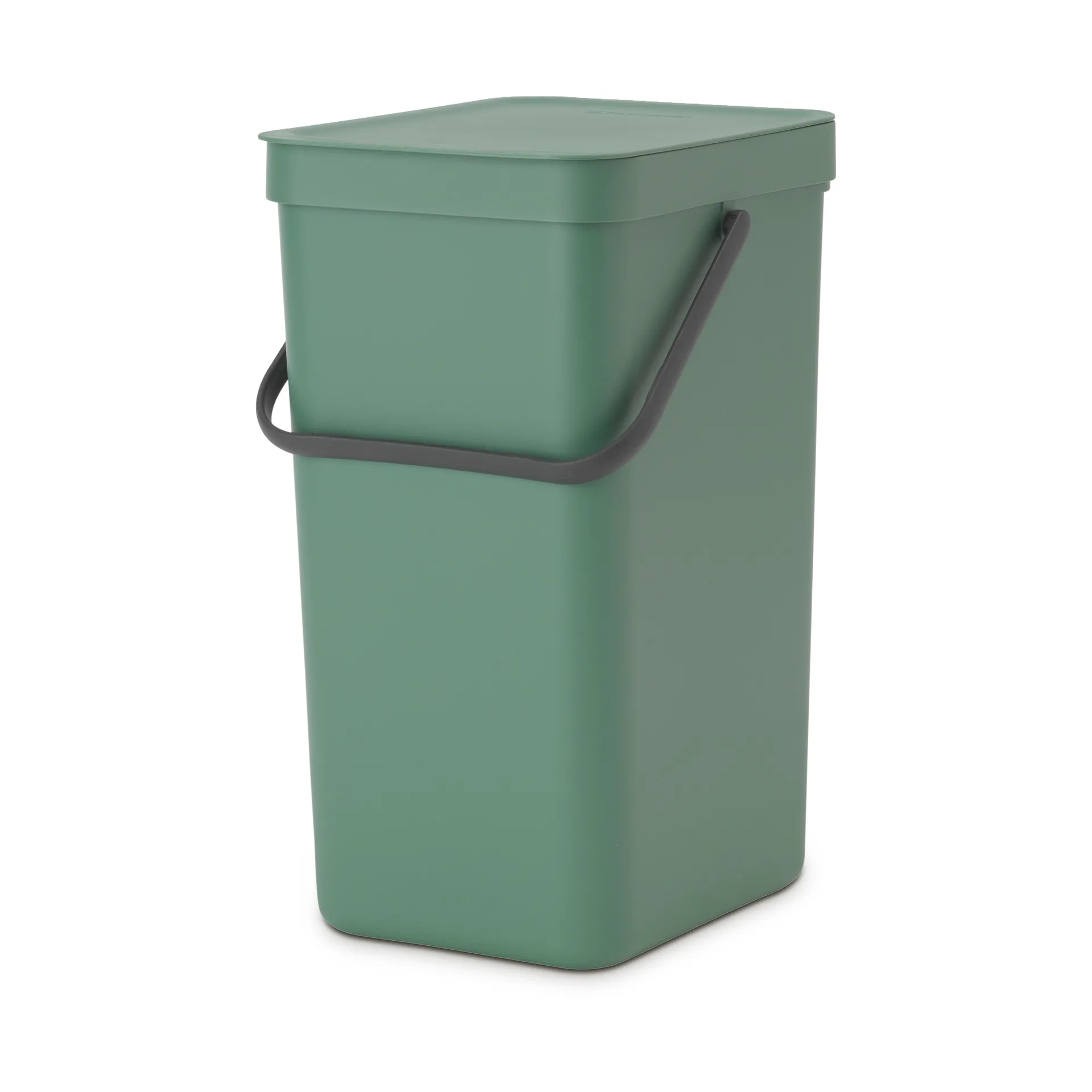 Poubelle tri Select & Go 16 L, Fir Green Brabantia