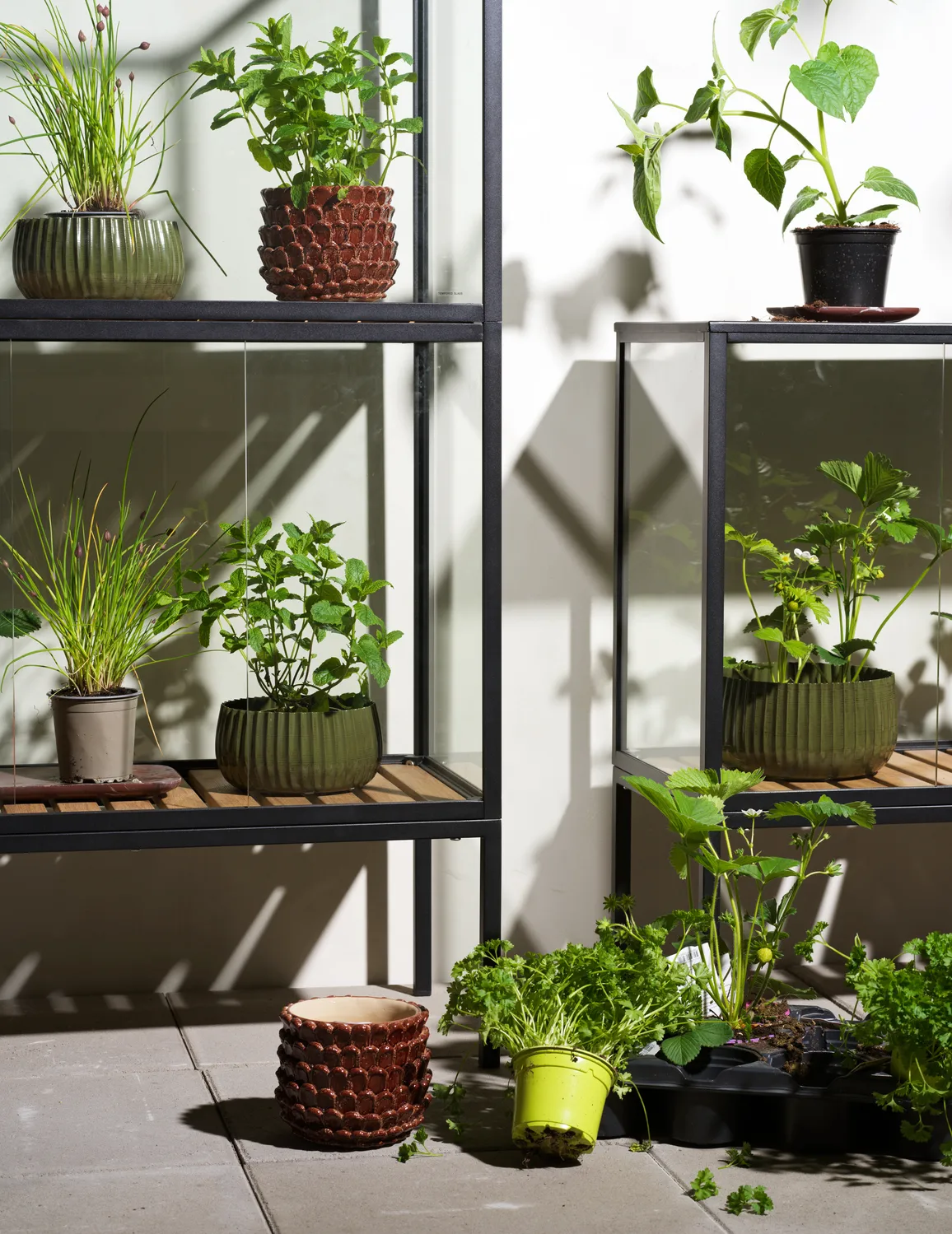 Armoire à plantes Grower Greens, Noir, 81x137 cm Brafab