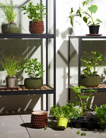 Armoire à plantes Grower Greens - Noir, 81x137 cm - Brafab