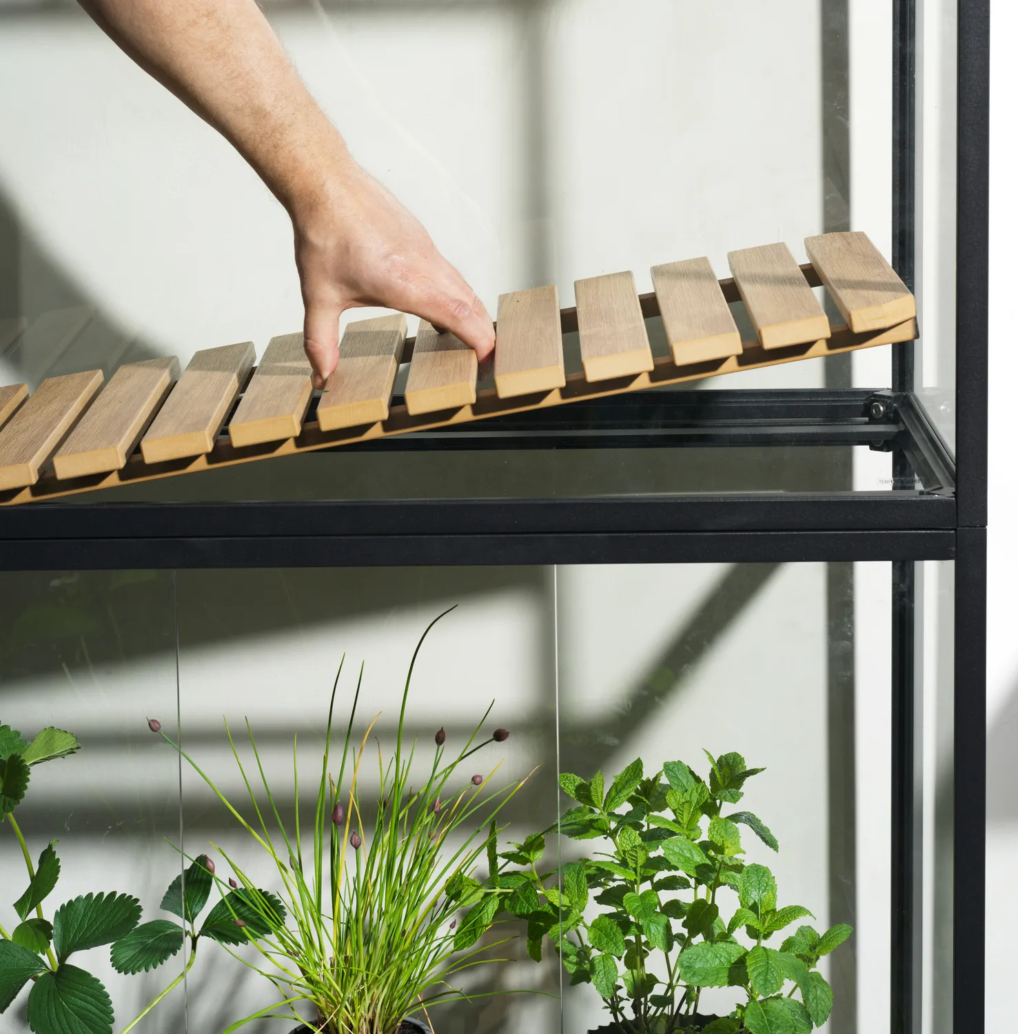 Armoire à plantes Grower Greens, Noir, 81x137 cm Brafab