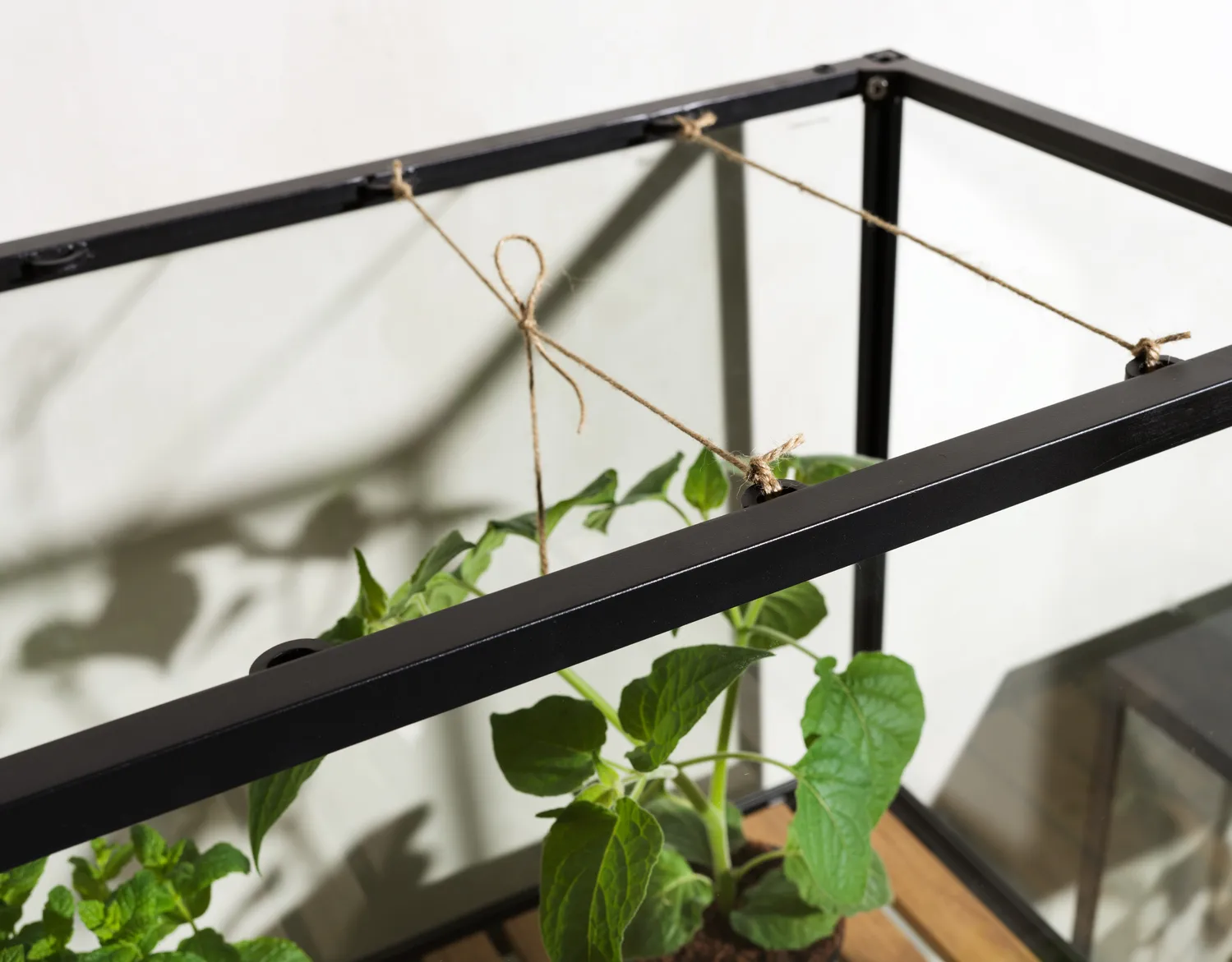 Armoire à plantes Grower Greens, Noir, 81x137 cm Brafab