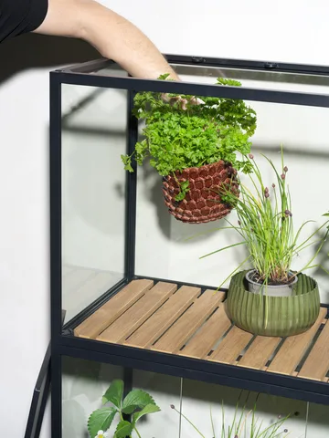 Armoire à plantes Grower Greens - Noir, 81x137 cm - Brafab