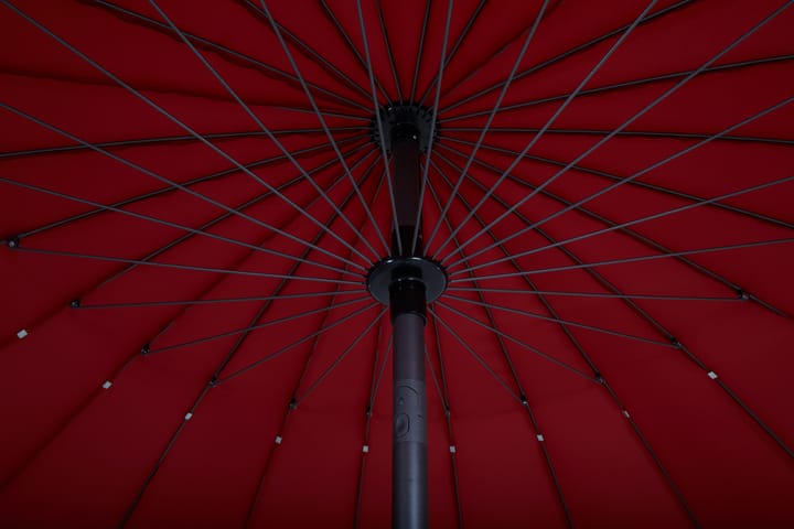 Shanghai parasol, Rouge Brafab