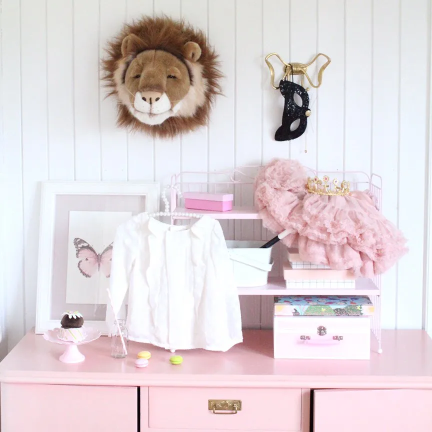 Trophée peluche lion, Lion Brigbys