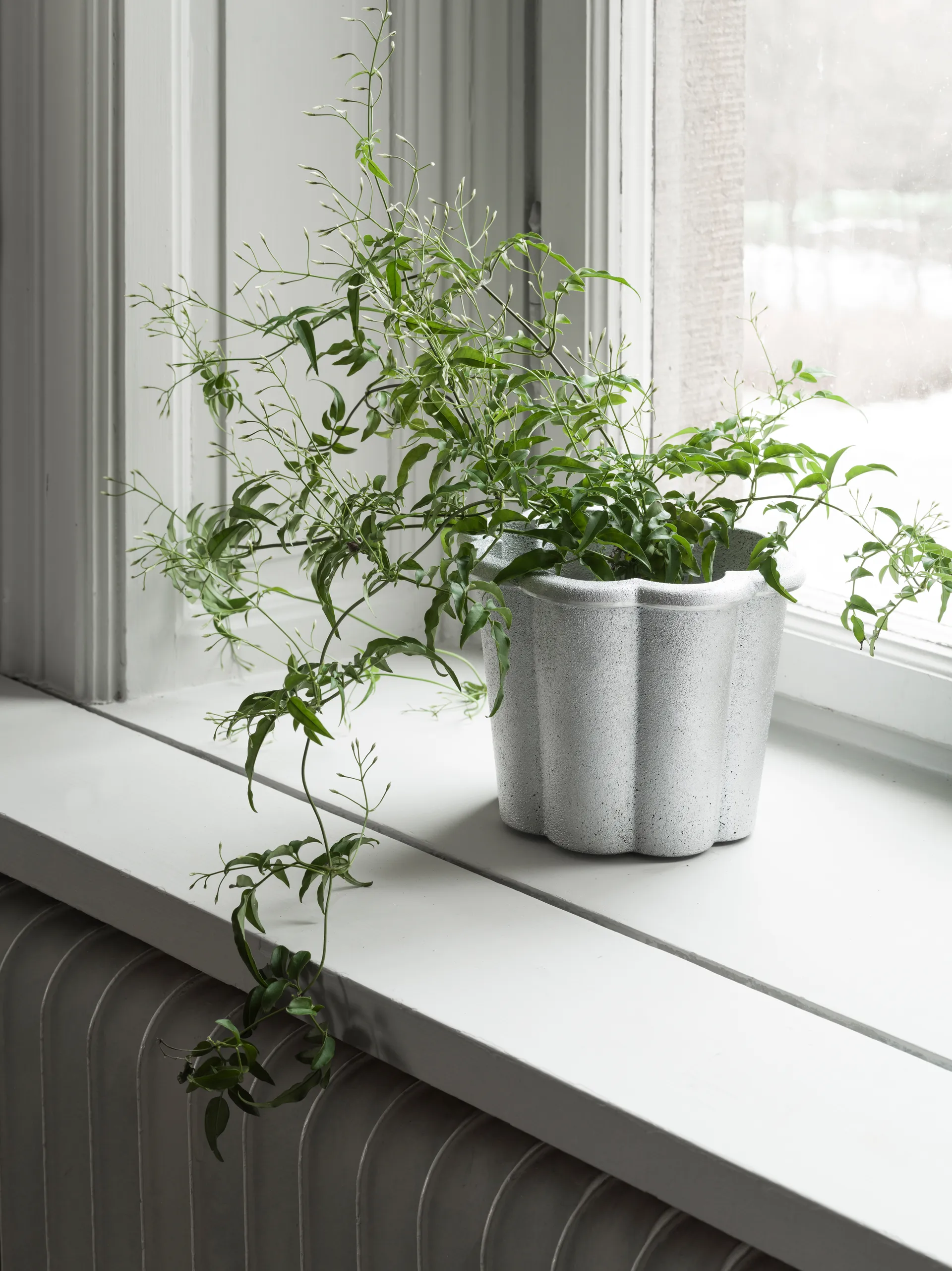 Cache-pot Fjällsippa haut Ø26x21 cm, Nature Byarums bruk