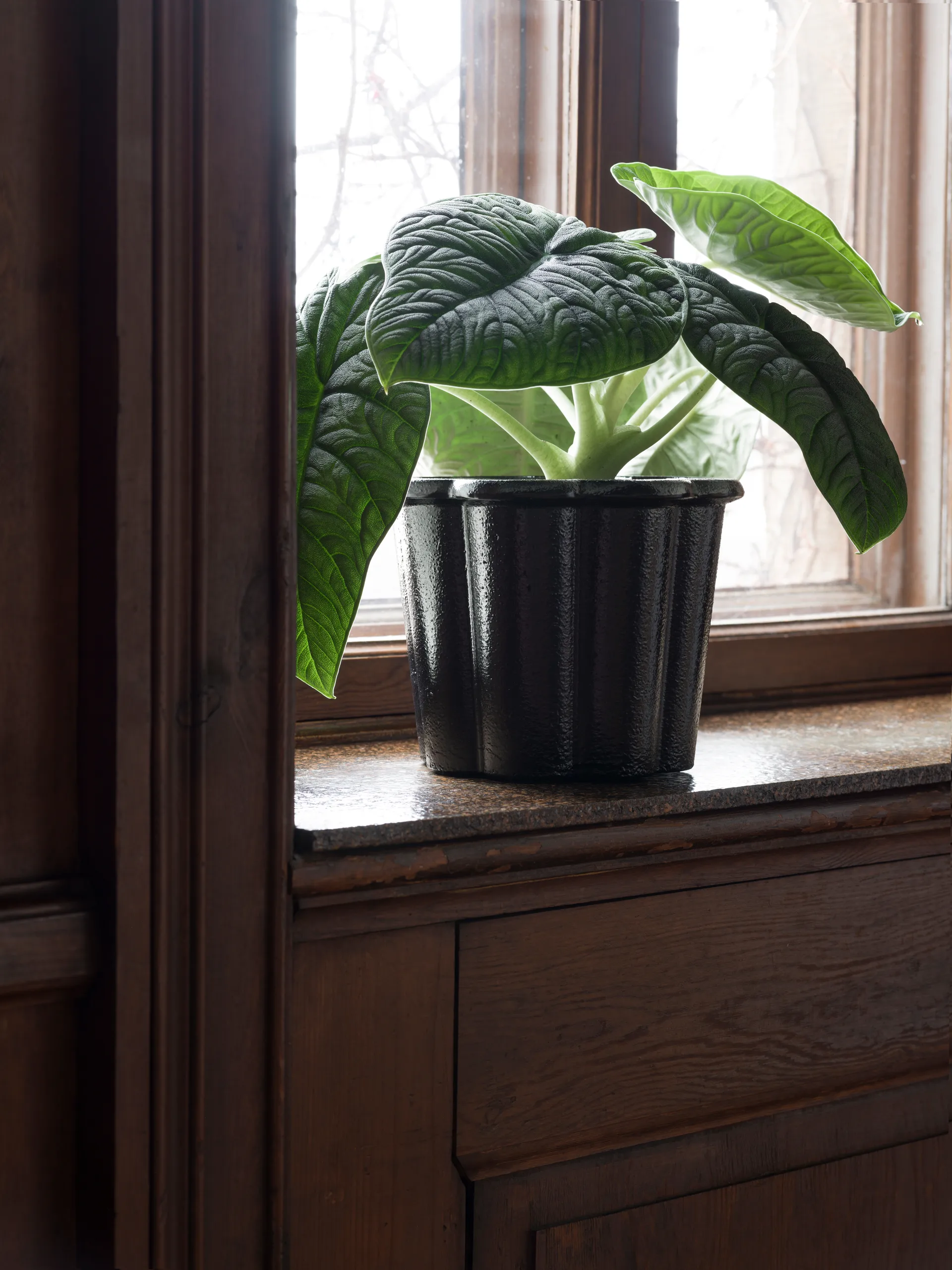 Cache-pot Fjällsippa haut Ø26x21 cm, Noir Byarums bruk