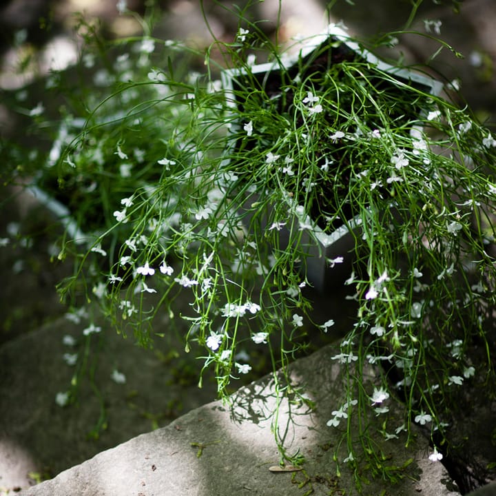 Pot Stjärnkruka - Aluminium, haut Ø30 cm - Byarums bruk