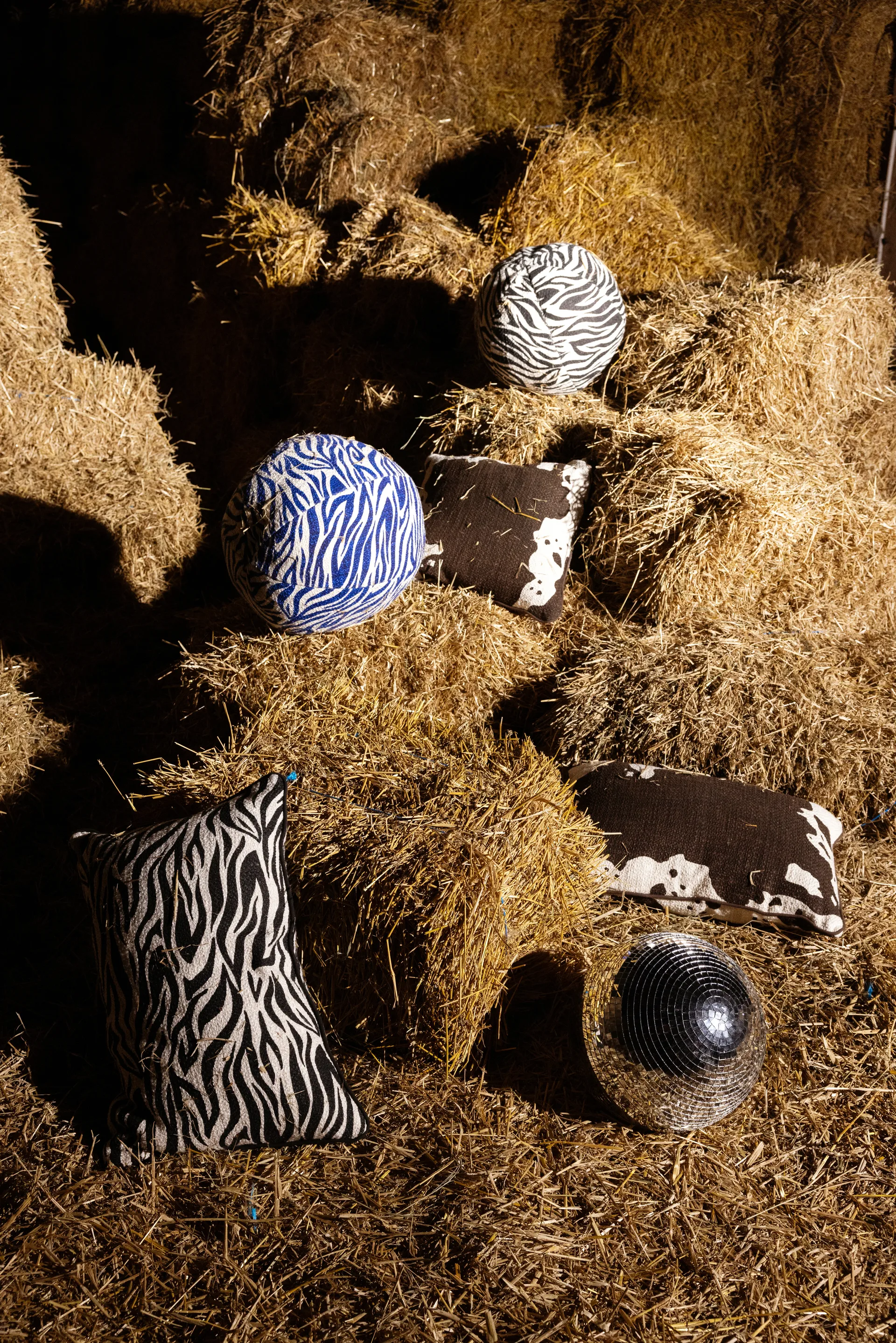 Coussin Anima Ø35 cm, Zebra-bleu Byon