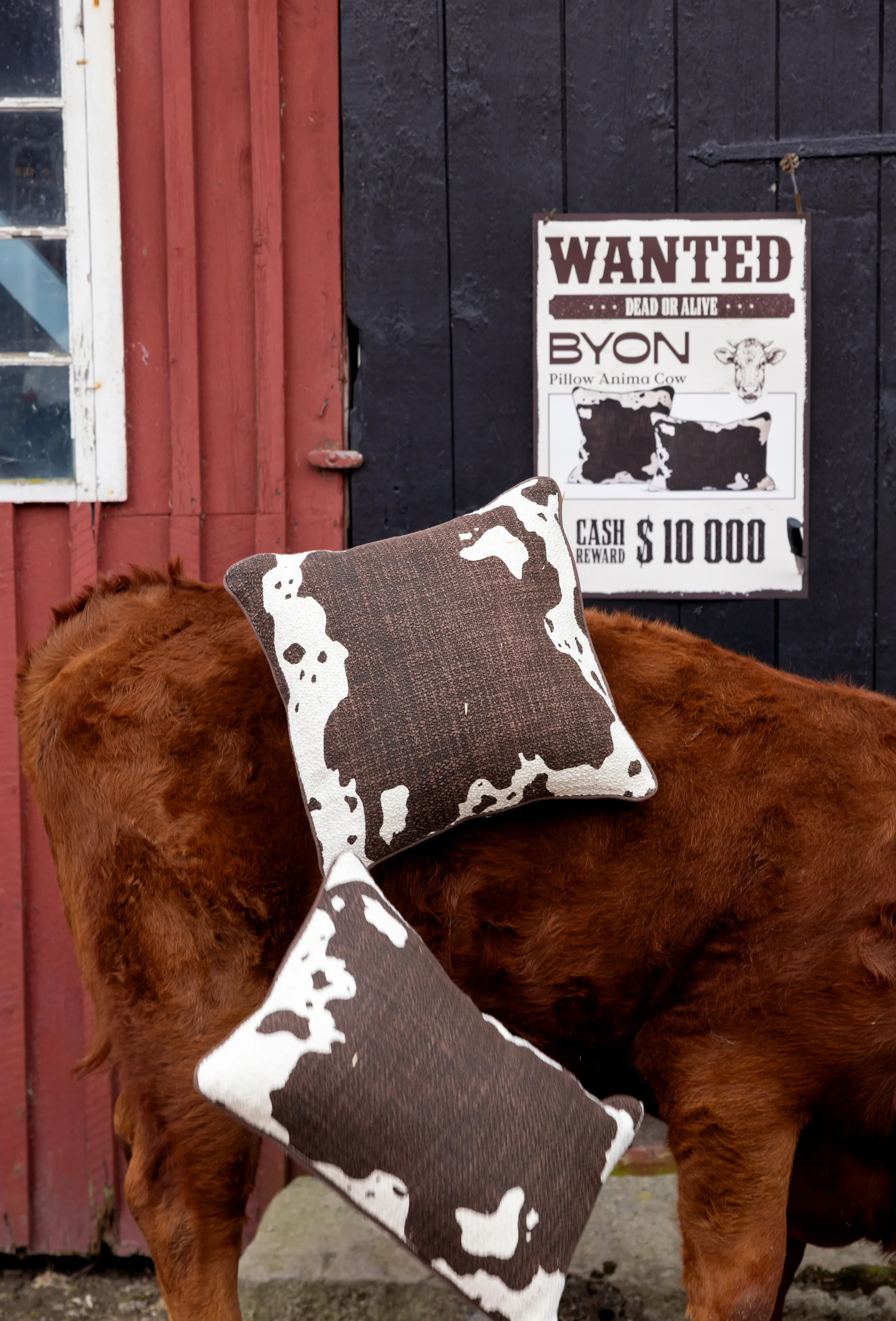 Coussin Anima L 40x60 cm, Vache Byon