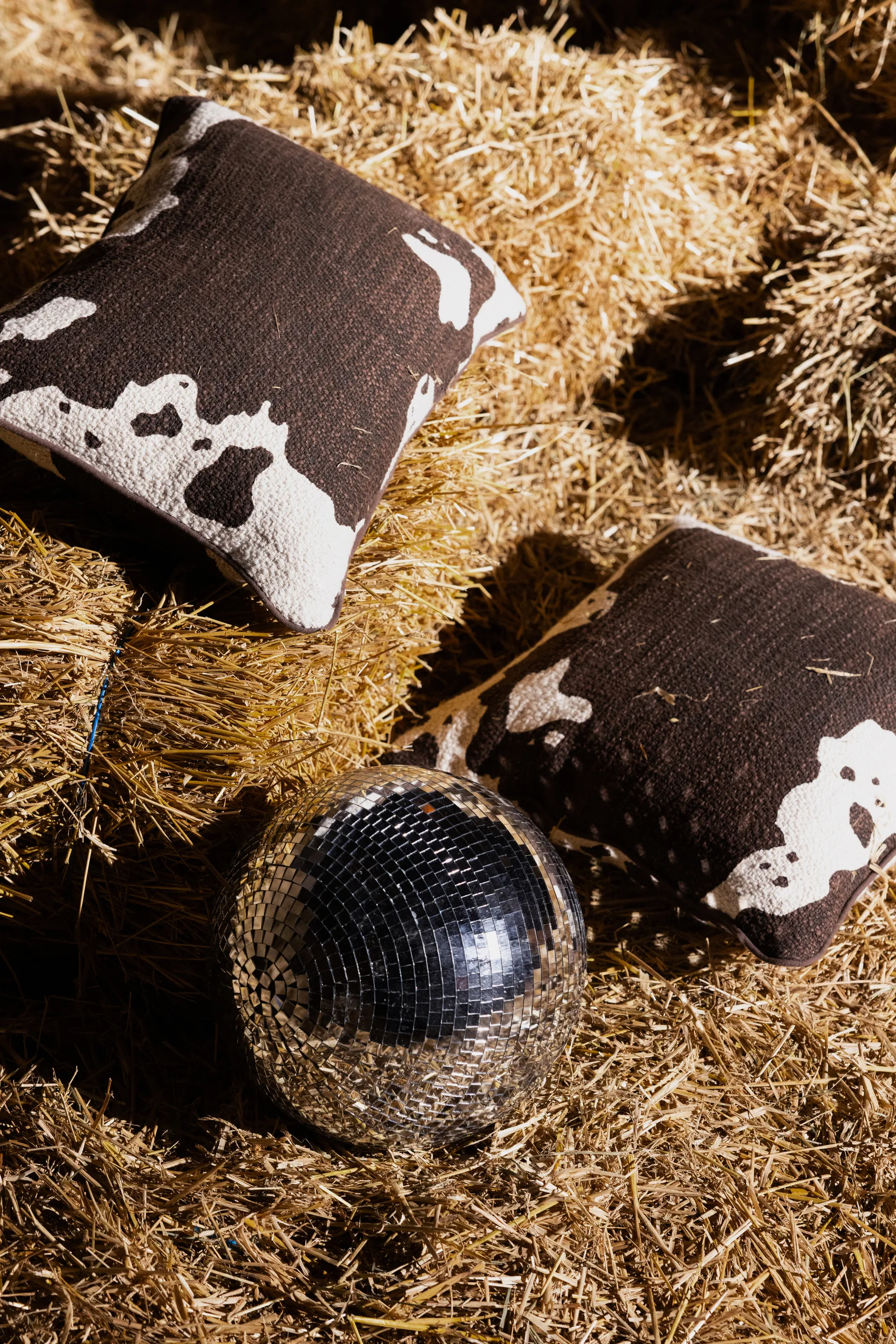 Coussin Anima M 50x50 cm, Vache Byon