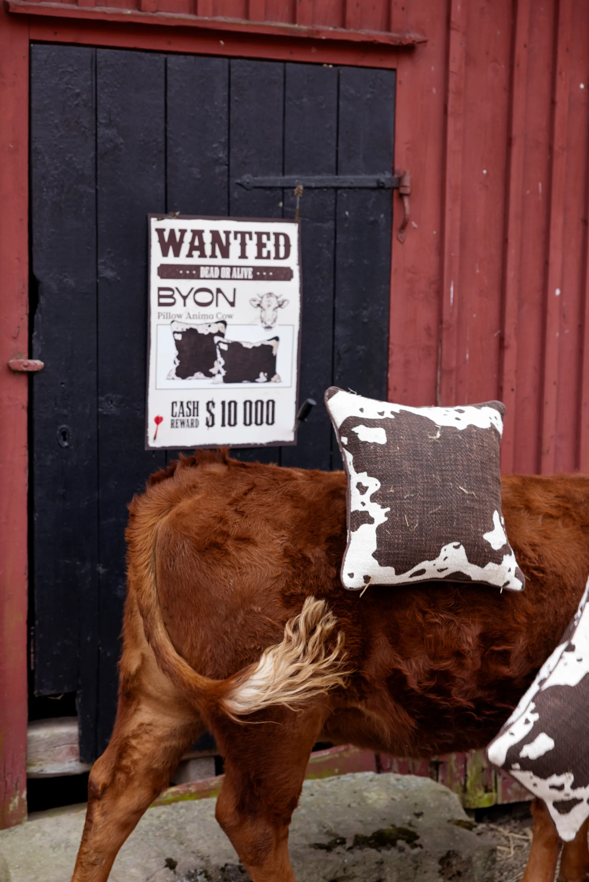 Coussin Anima M 50x50 cm, Vache Byon