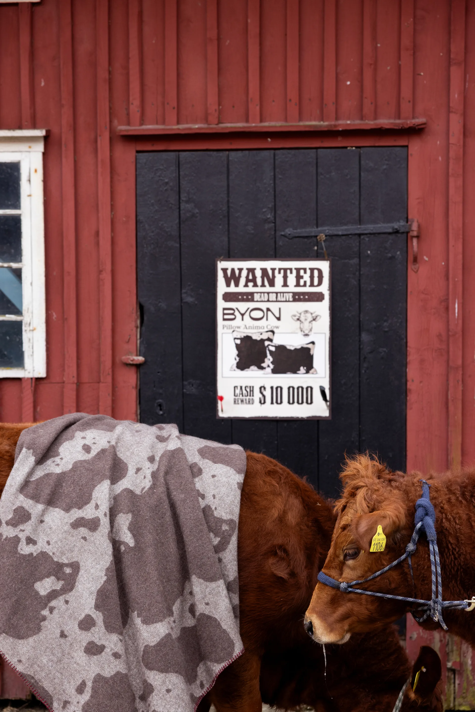 Plaid Anima 130x200 cm, Vache Byon