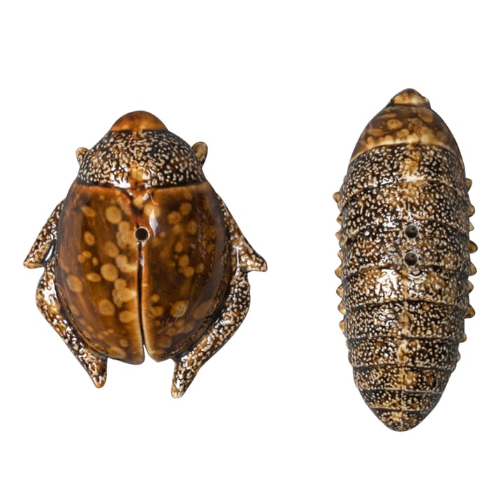 Salière et poivrière scarabées - brun - Byon