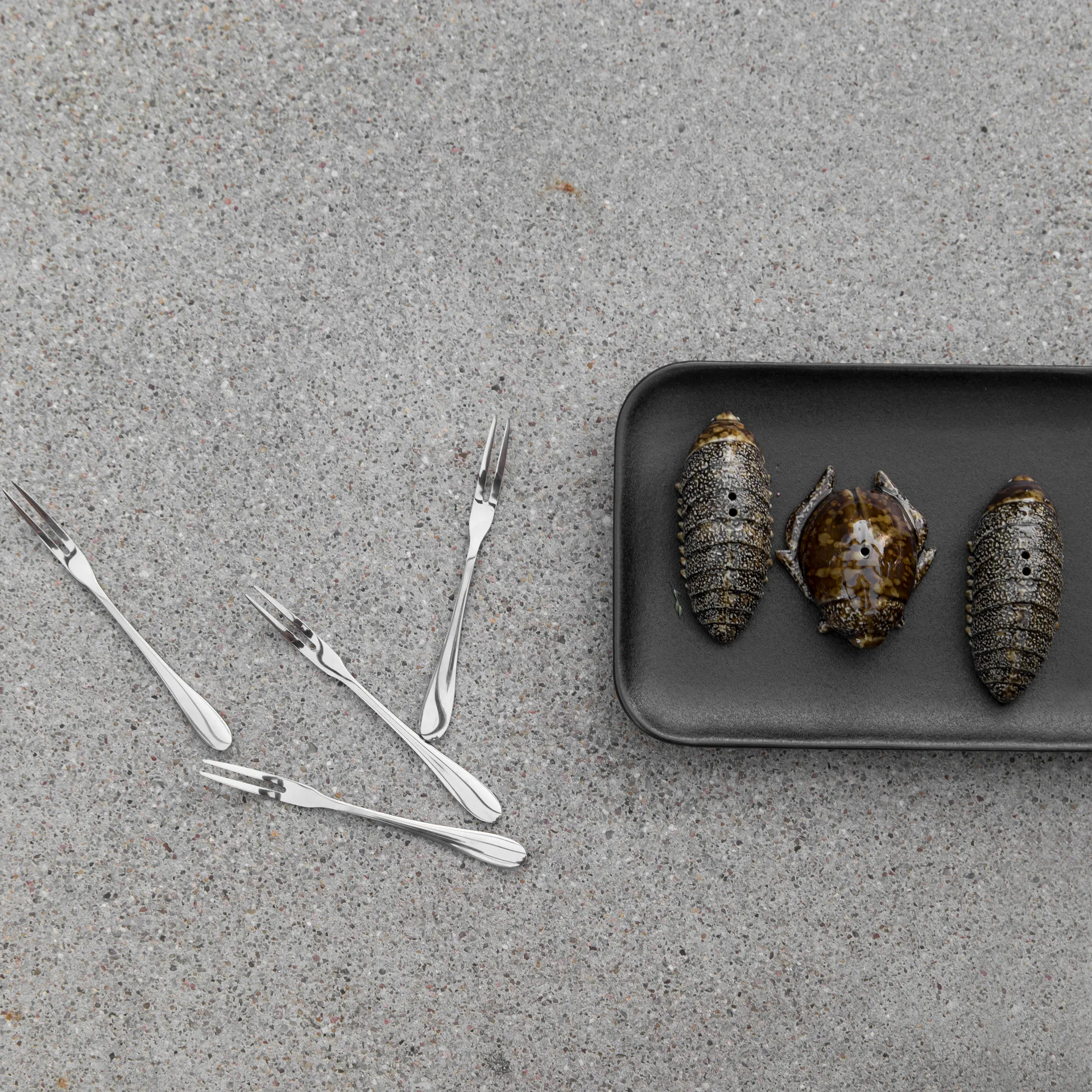 Salière et poivrière scarabées, brun Byon