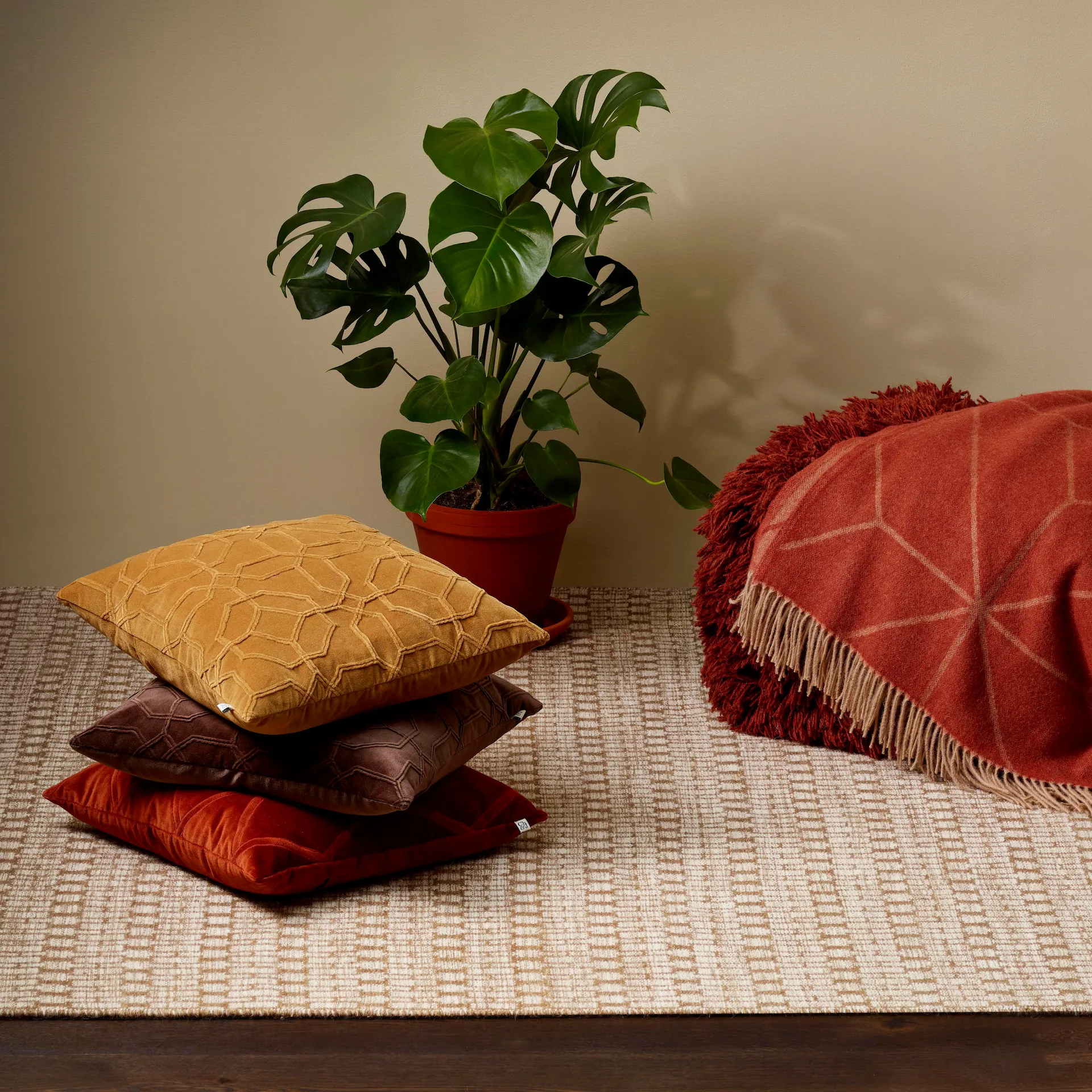 Taie Nandi 50x50cm, Masala yellow Chhatwal & Jonsson