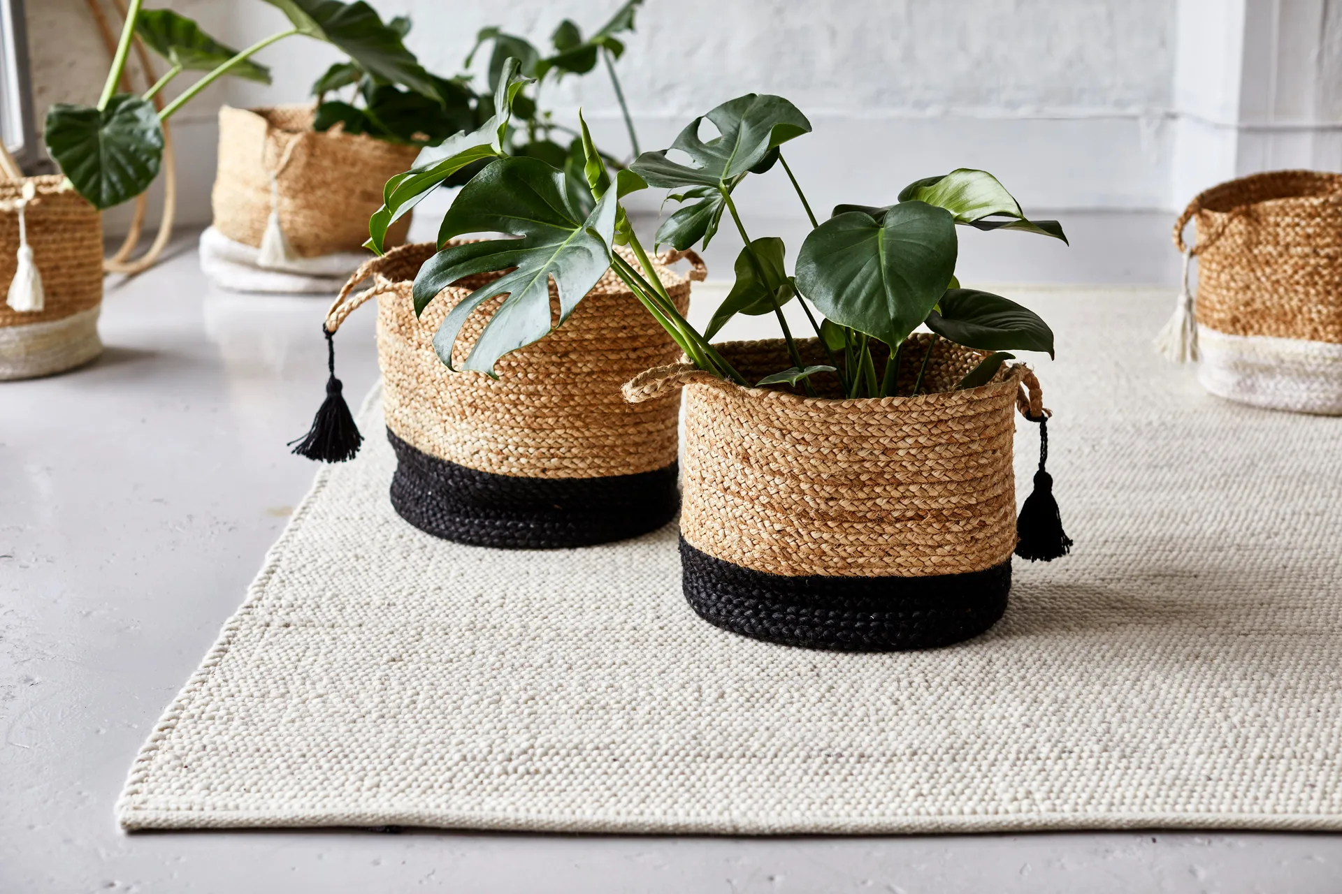 Tapis en laine Merino, oat, 300x400 cm Classic Collection