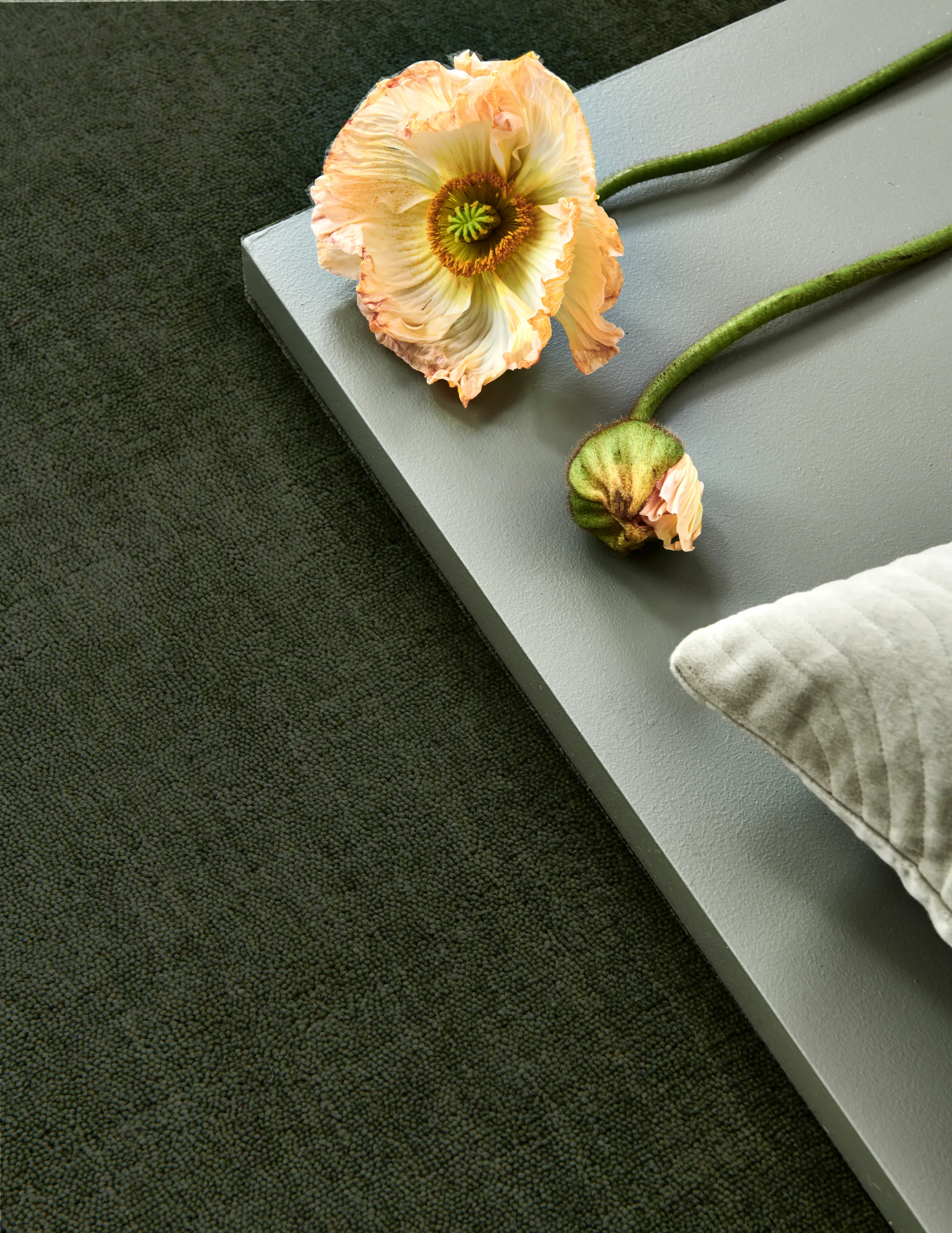 Tapis Solid, Green, 170x230 cm Classic Collection