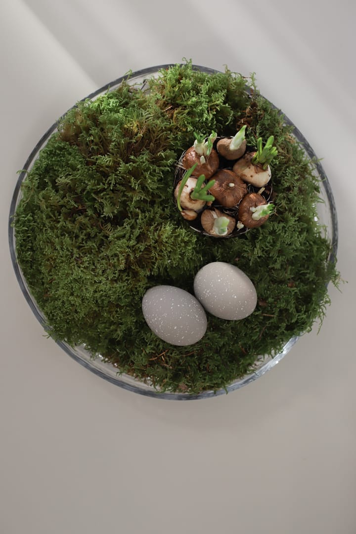 Easter Deco œufs lot de 2, Sand Cooee Design