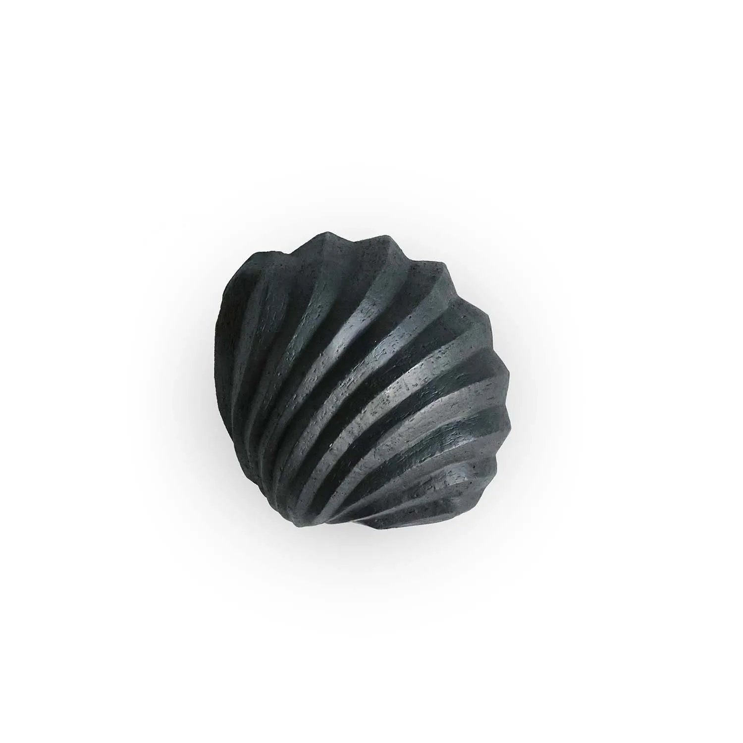 Sculpture The Clam Shell 13 cm, Coal Cooee Design