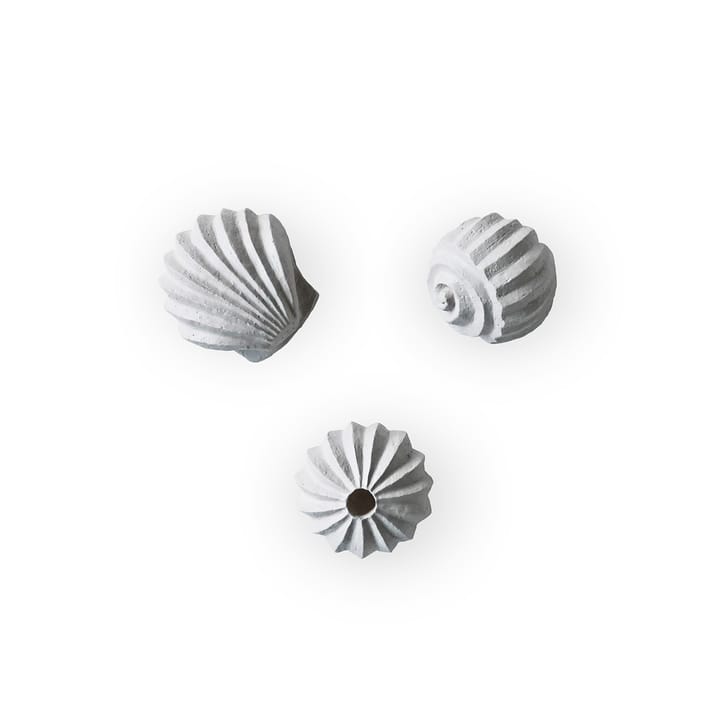 Sculpture The Genesis Shells Lot de 3 - Limestone - Cooee Design