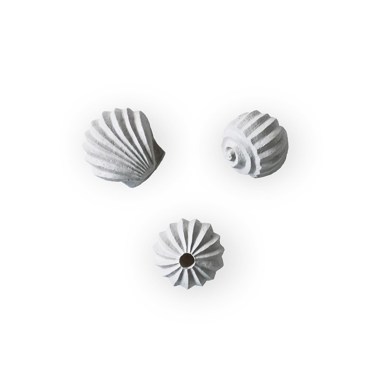 Cooee Design Sculpture The Genesis Shells Lot de 3 Limestone
