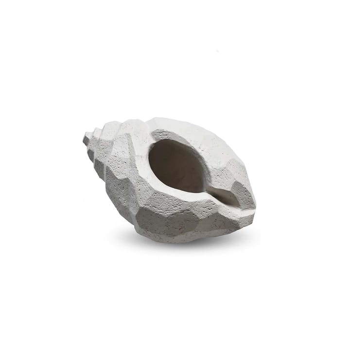 Sculpture The Pear Shell 16 cm - Limestone - Cooee Design