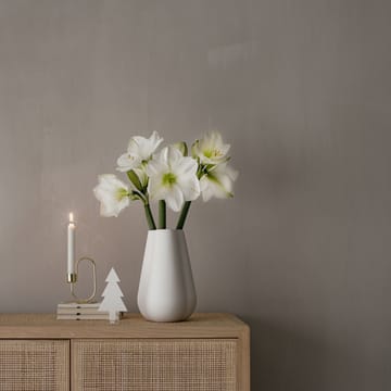 Vase Clover 25cm - White - Cooee Design