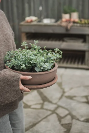 Bol Terra Pot - Brown, Ø30x10,5 cm - DBKD