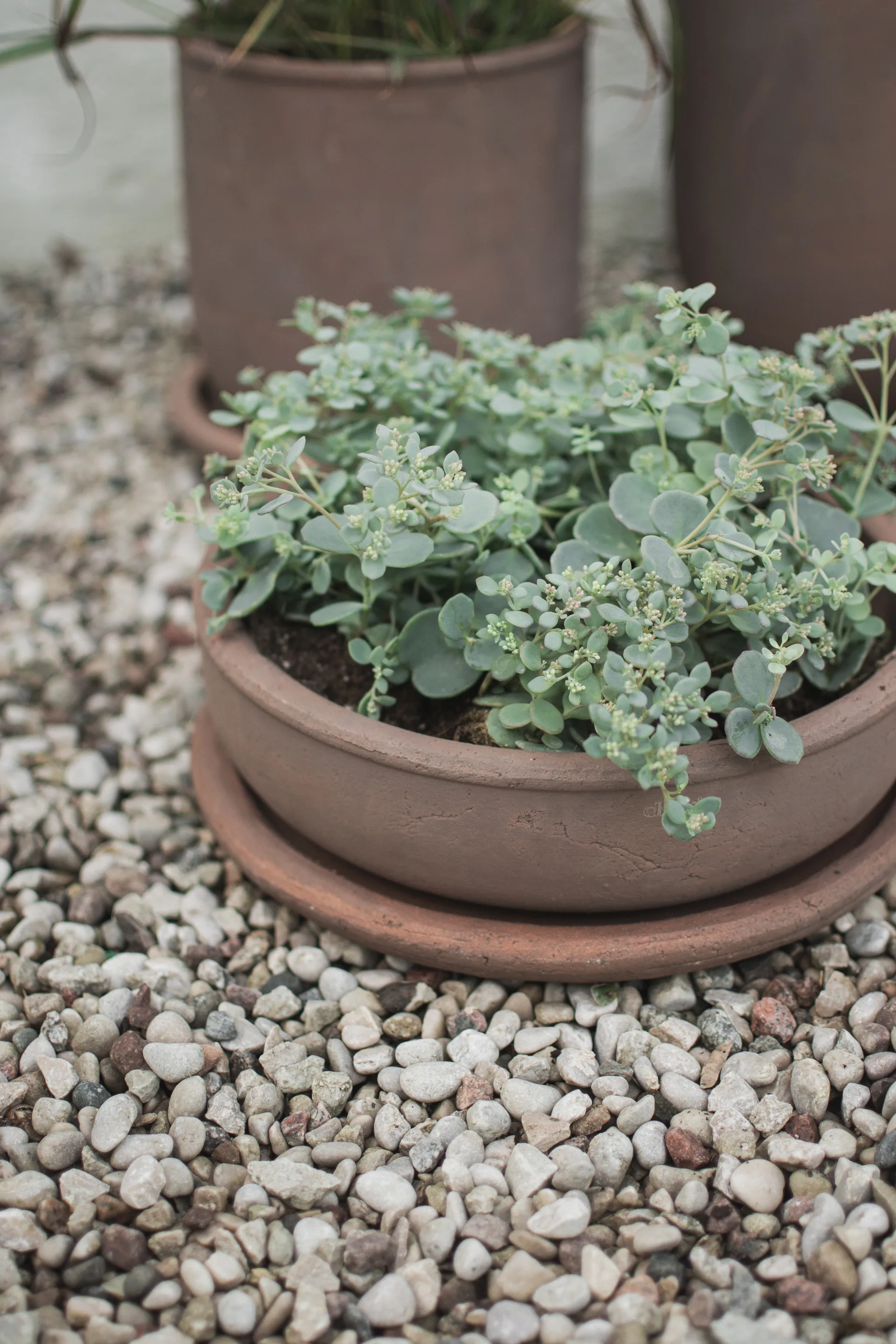 Bol Terra Pot, Brown, Ø30x10,5 cm DBKD