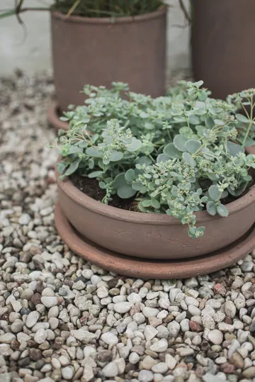 Bol Terra Pot - Brown, Ø30x10,5 cm - DBKD