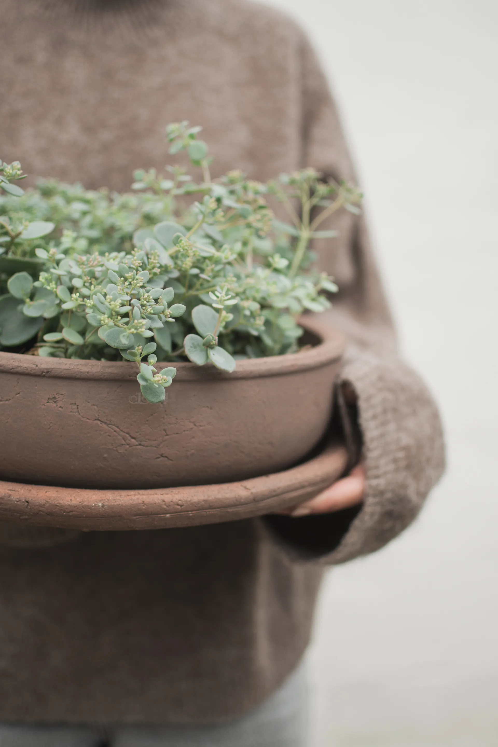 Bol Terra Pot, Brown, Ø30x10,5 cm DBKD