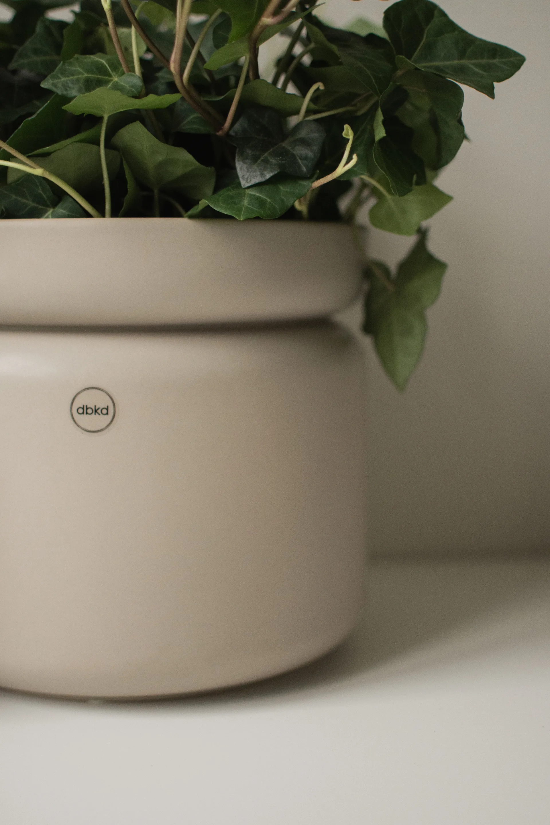 Cache-pot Neck, Mole, Ø22,5x20 cm DBKD