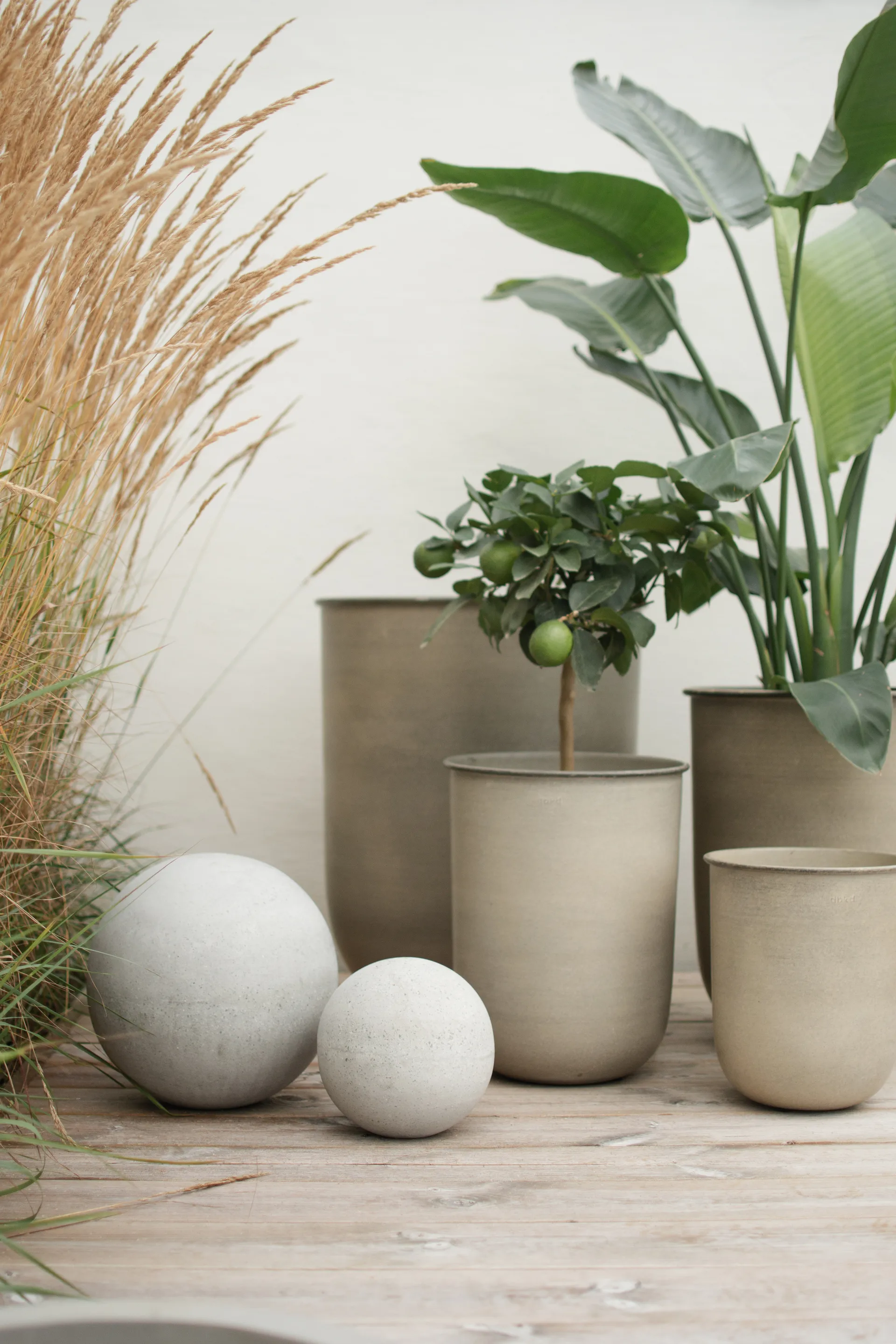 Cache-pot Out, lot de 4, Beige DBKD