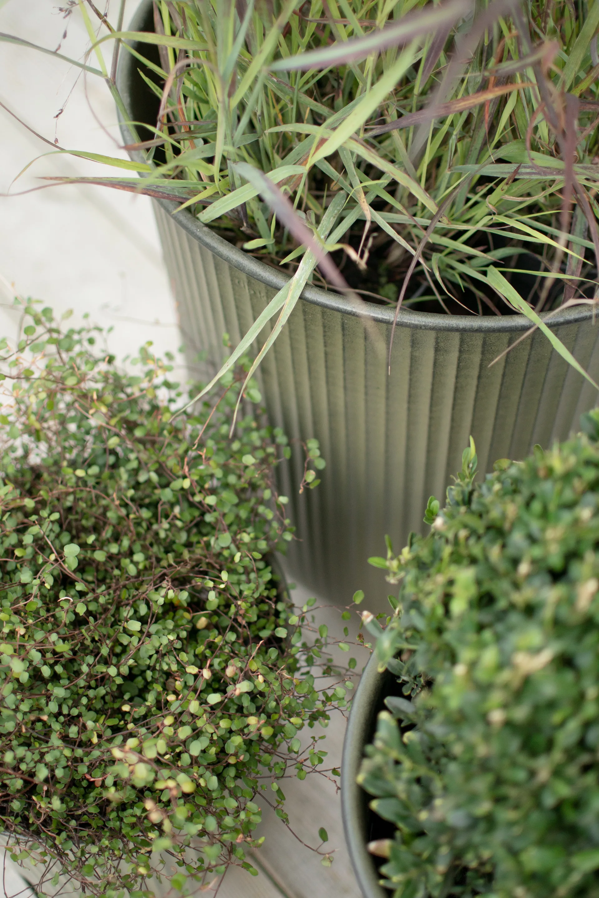 Cache-pot Out stripe, lot de 3, Green DBKD