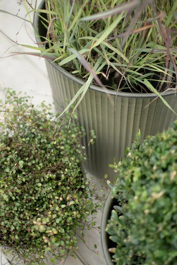 Cache-pot Out stripe, lot de 3 - Green - DBKD