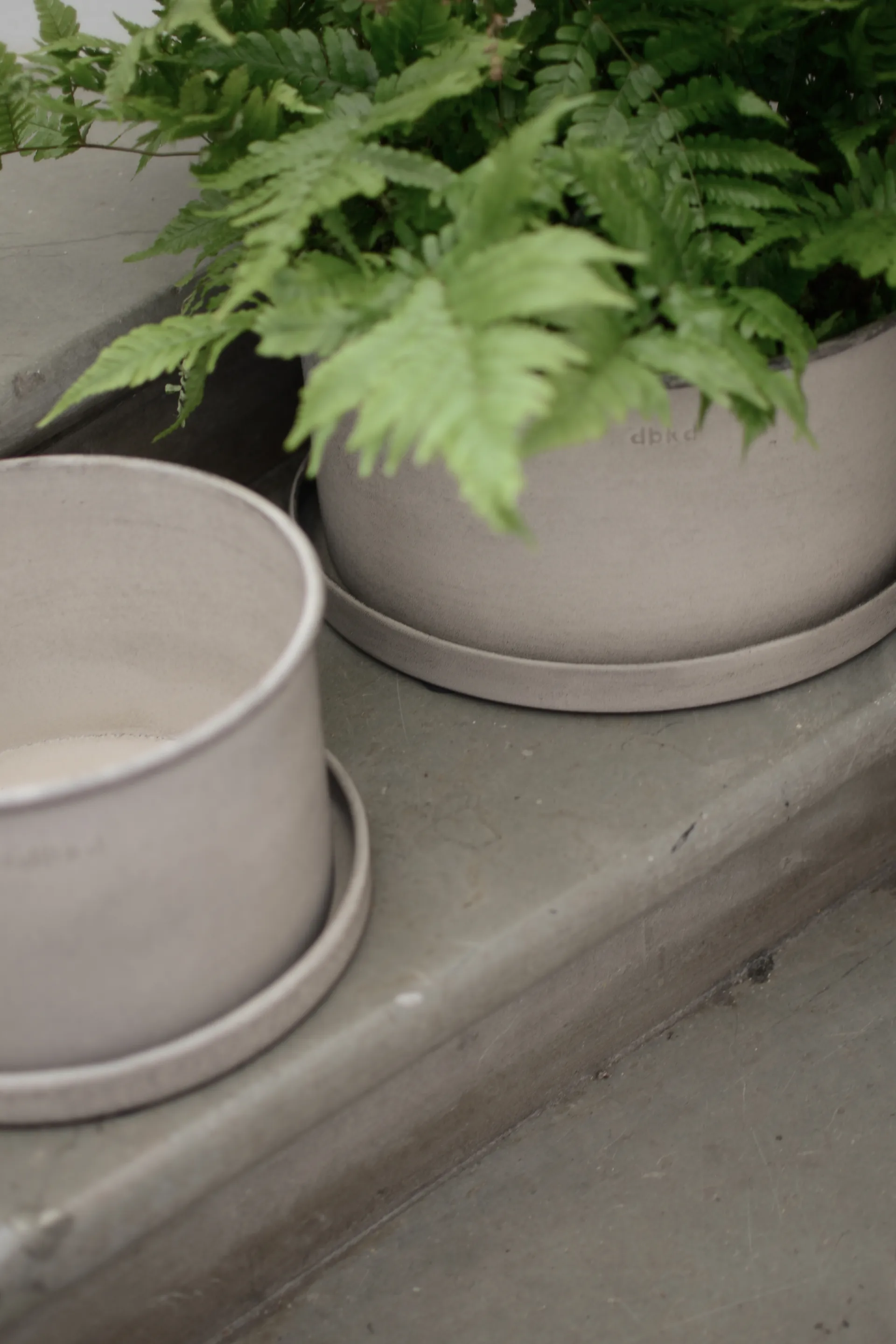 Cache-pot Plant bowl, lot de 2, Beige DBKD
